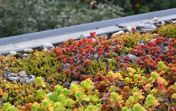 the cost of West Porton green roof installation