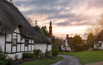is West Porton thatch roofing popular